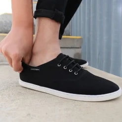 Stanley Black Canvas